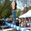 Der Maibaum wird gesichert.